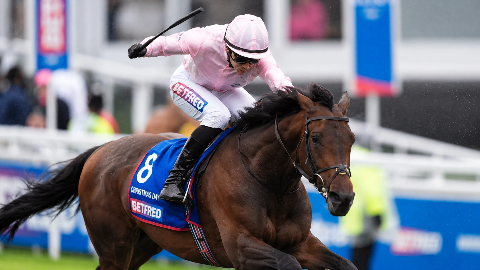 2026 St Leger Preview: Christmas Day Takes Centre Stage at Doncaster